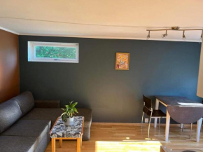 FeelHome small 1 bedroom apartment Polar vegen, Tromsø